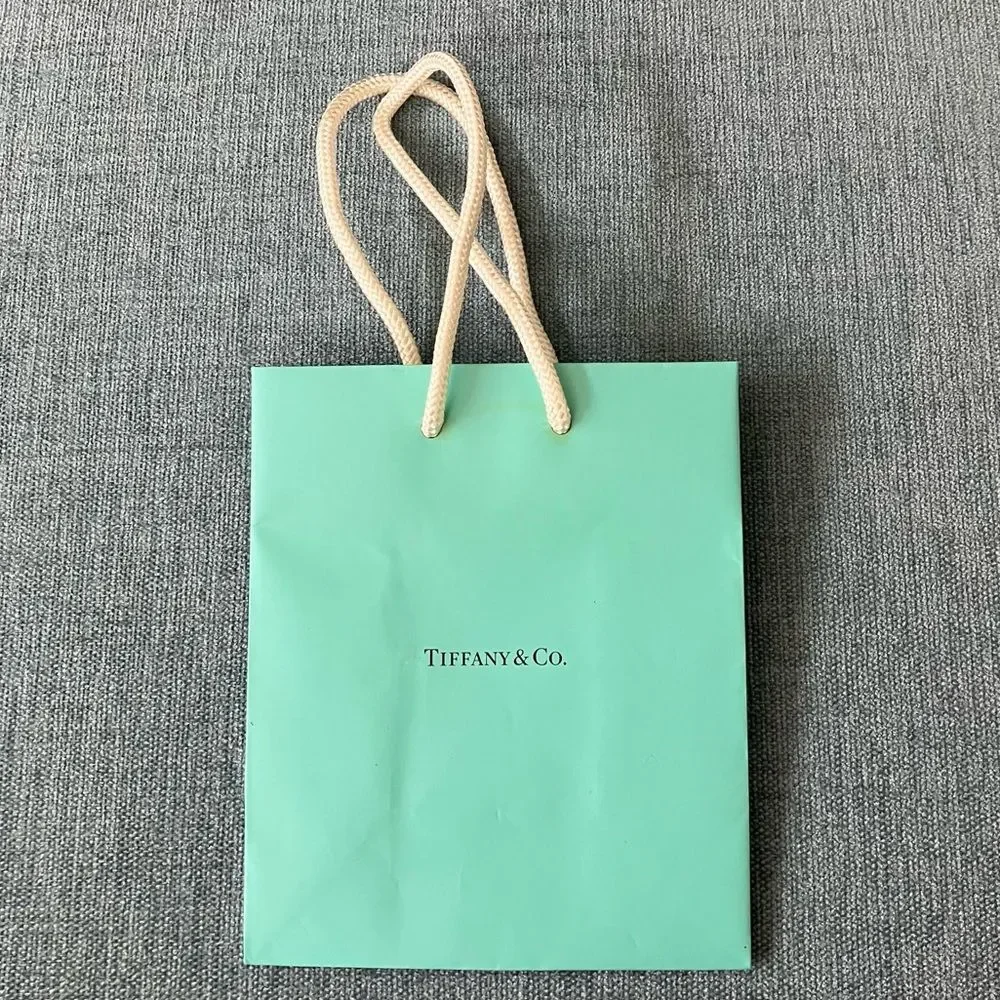 Tiffany & Co. Shopping Gift Bag